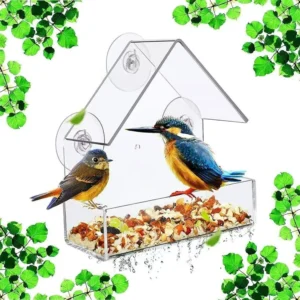 Acrylic Bird Feeder Clear Window Outside Hanging Bird Feeder House with Suction Cup
