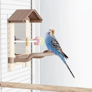 Wear-resisting Creative Bird Mirror with Perch