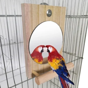 Bird Mirror with Perch Parrot Birdcage Stands
