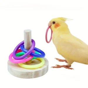 Wooden Interactive Parrot Ring Toy Educational Exercise