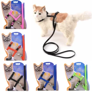 5 Color Adjustable Pet Cat Collar For Cats
