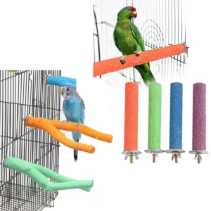 Parrot Claw Beak Grinding Bar Standing Stick Bird Perch