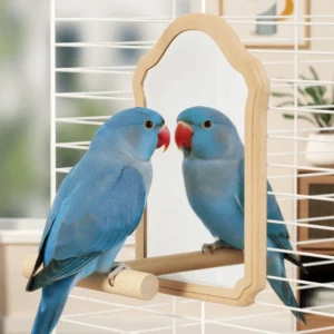 Wear-Resisting Bird Mirror Perch Detachable