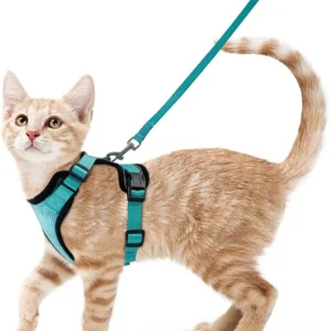 Cat Harness and Leash for Walking, Escape Proof Soft Adjustable Vest